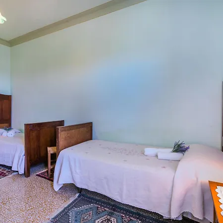 Apartment Locazione Turistica L'uccelliera - Smn132 Canneto (Florence)